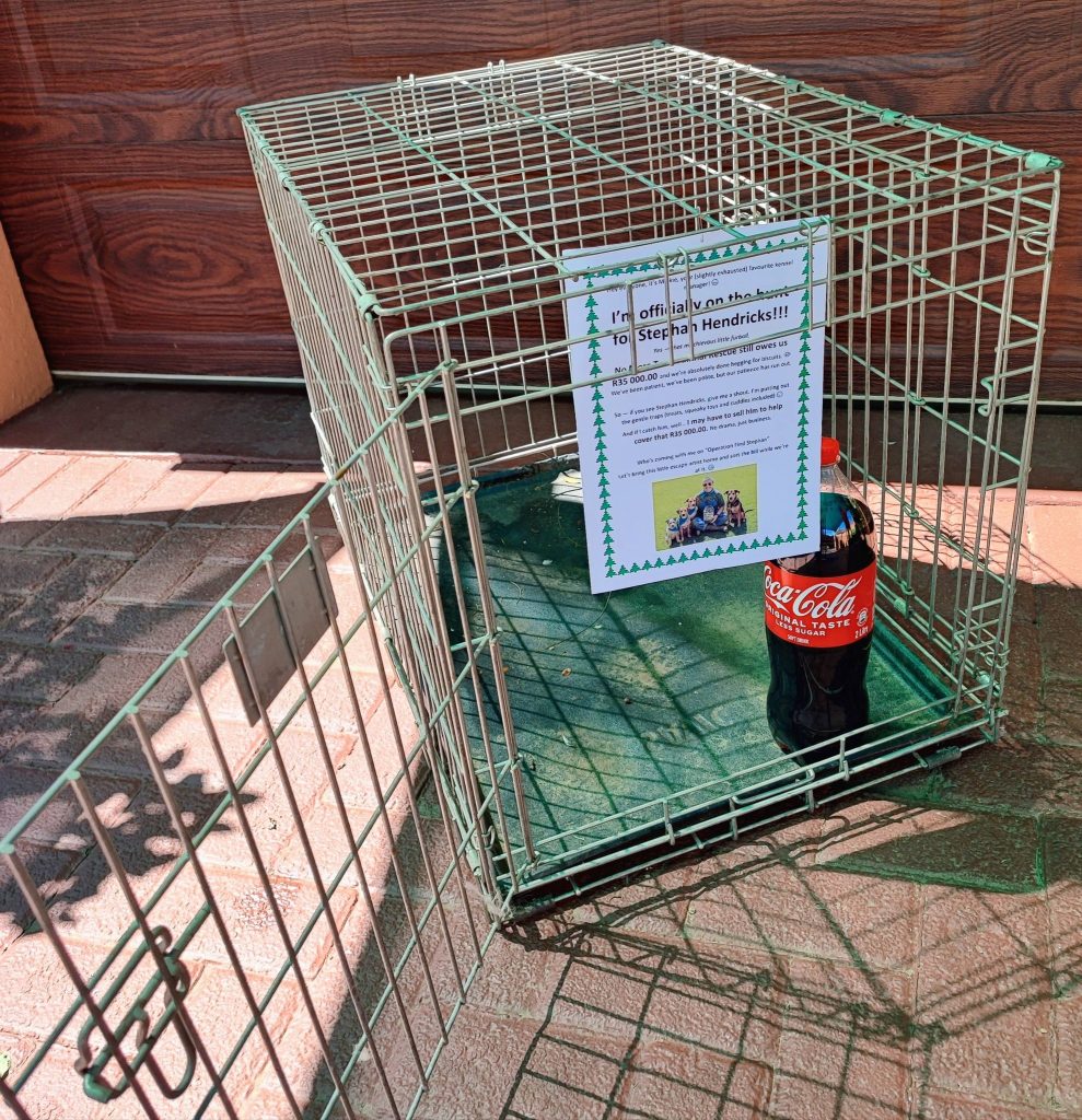 Operation Find “Stephan”